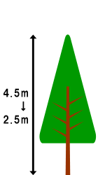 4.5mまでの剪定・伐採