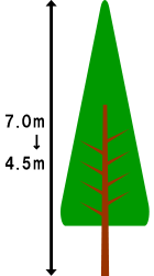 7.0mまでの剪定・伐採